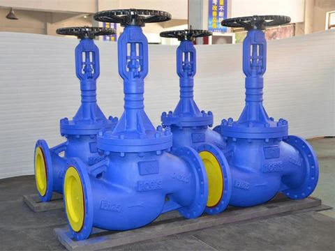 Perbandingan Antara Bellows Globe Valves Dan Yang Umum