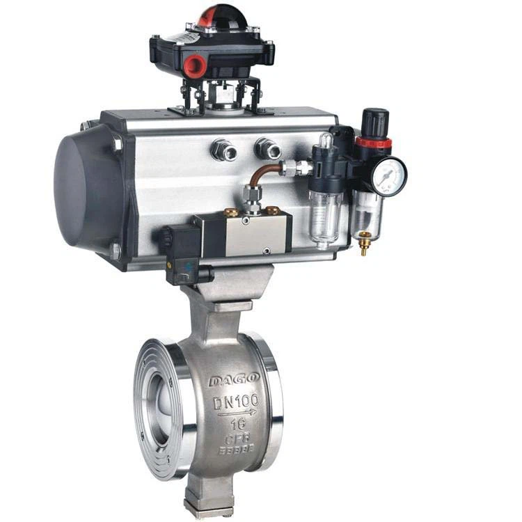 Segmen V Port Ball Valve